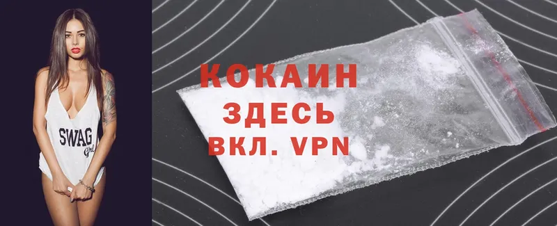 Cocaine Fish Scale  мега ссылки  Суоярви 